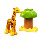 LEGO DUPLO - Divoké zvieratá Afriky